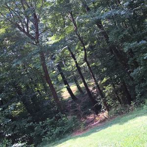 Meet your Posher, Jose